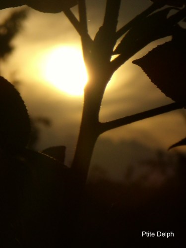 pizap.com14361457301311