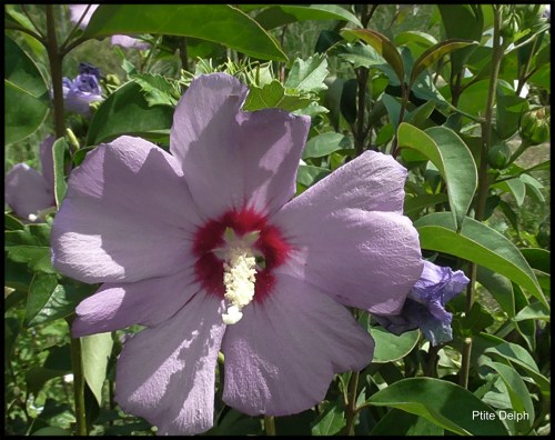 Jardin du 26ème centenaire, Marseille