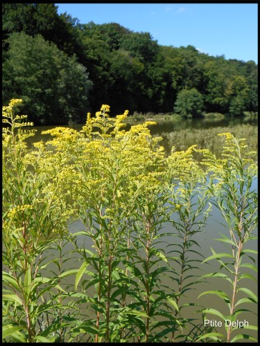 pizap.com14379498145191