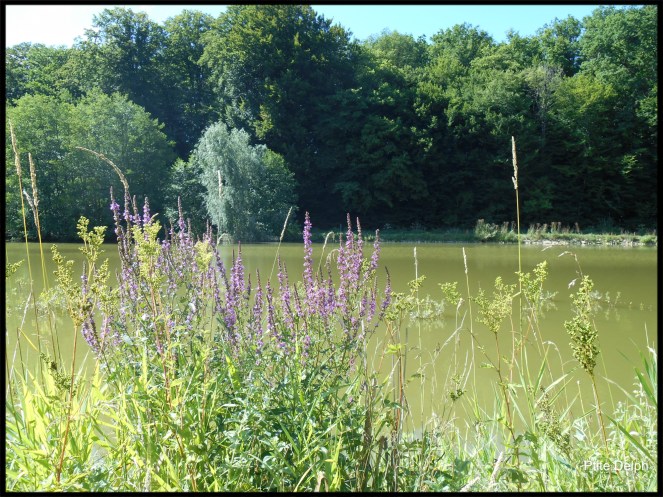 pizap.com14379499672931